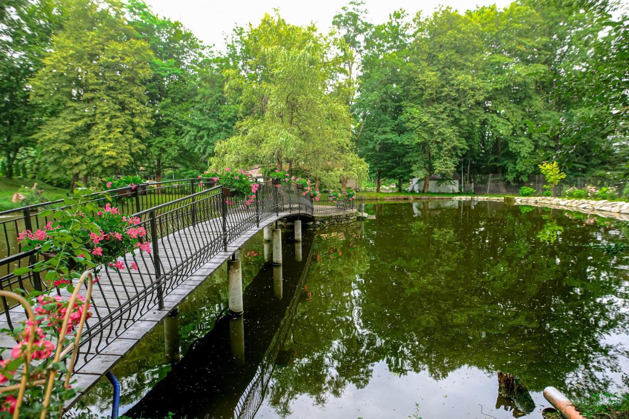 Zamek Dubiecko Hotel Buitenkant foto