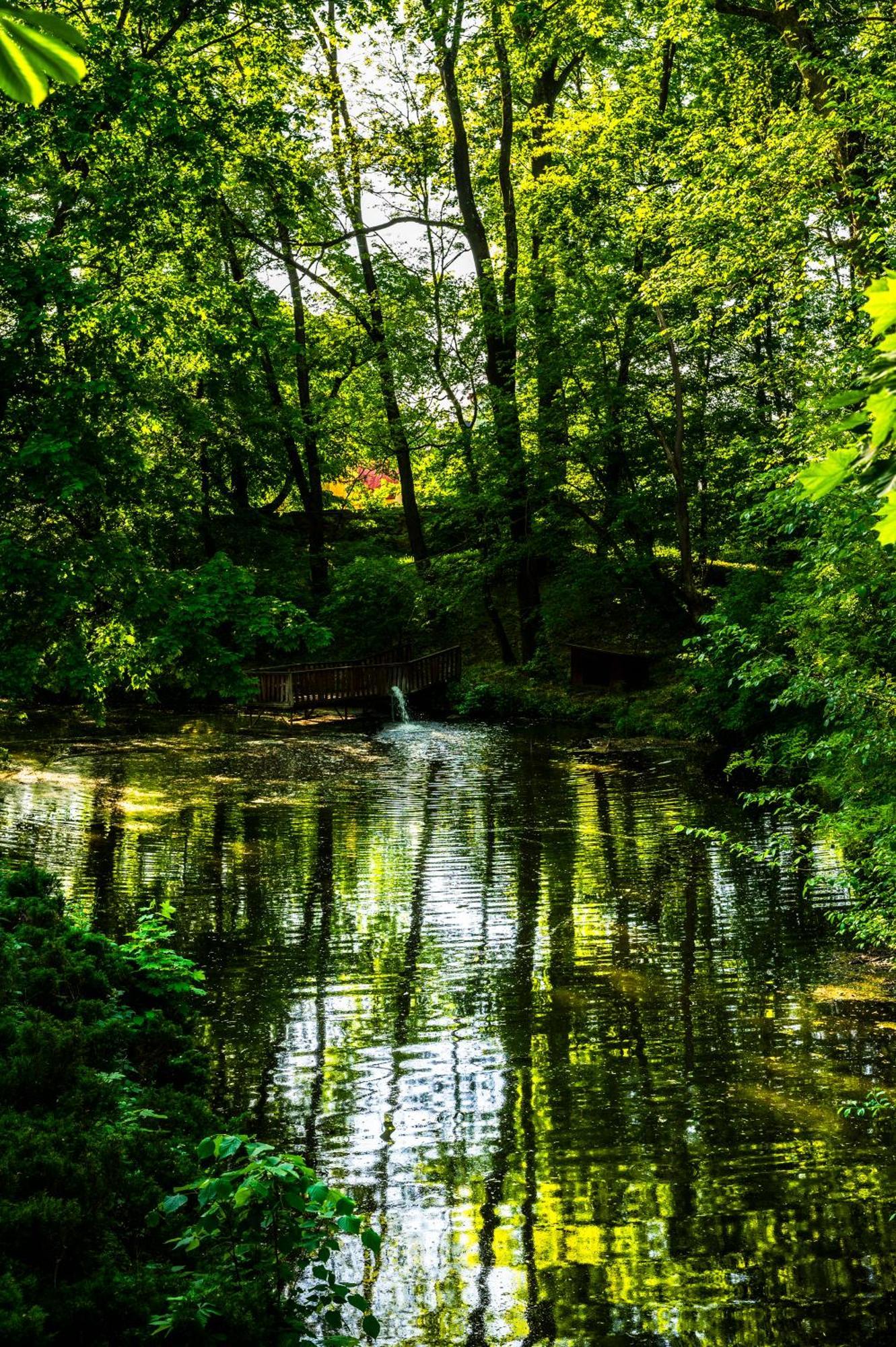 Zamek Dubiecko Hotel Buitenkant foto