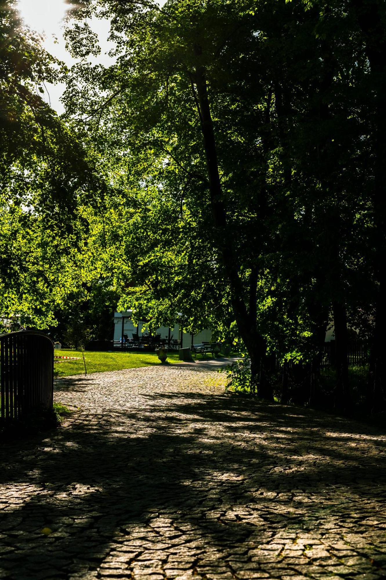 Zamek Dubiecko Hotel Buitenkant foto