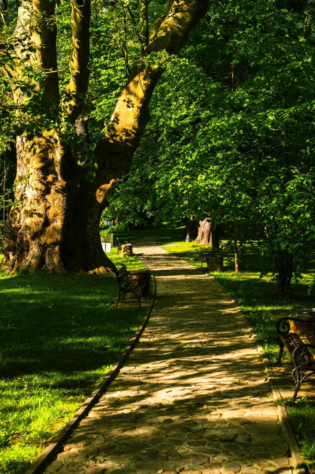 Zamek Dubiecko Hotel Buitenkant foto