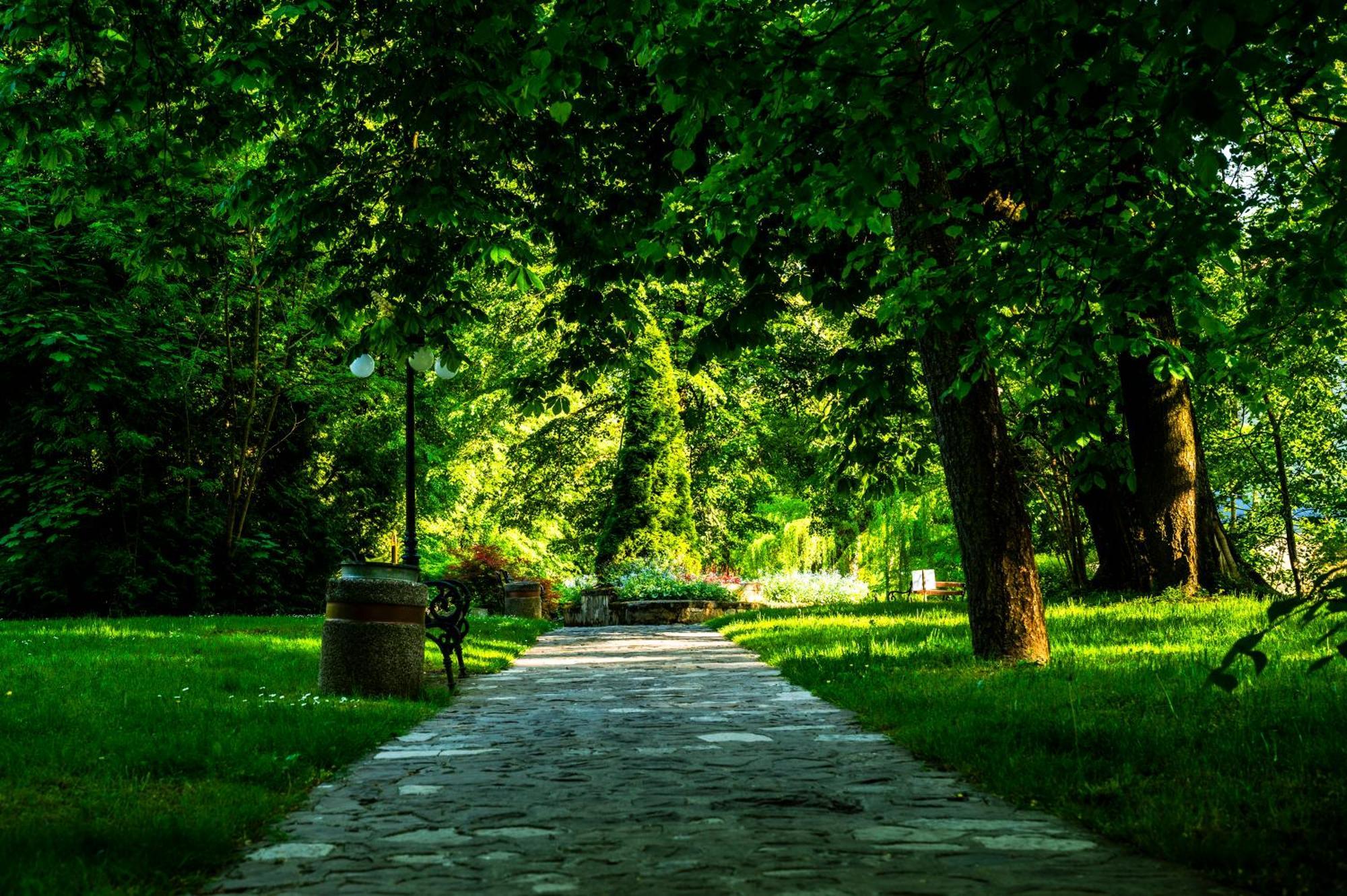 Zamek Dubiecko Hotel Buitenkant foto