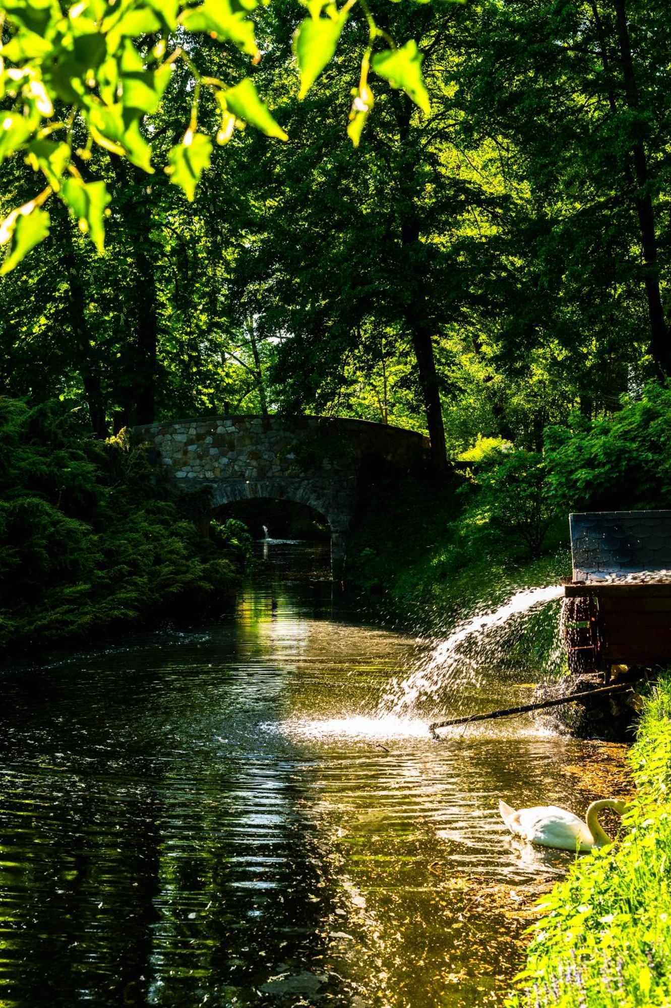 Zamek Dubiecko Hotel Buitenkant foto